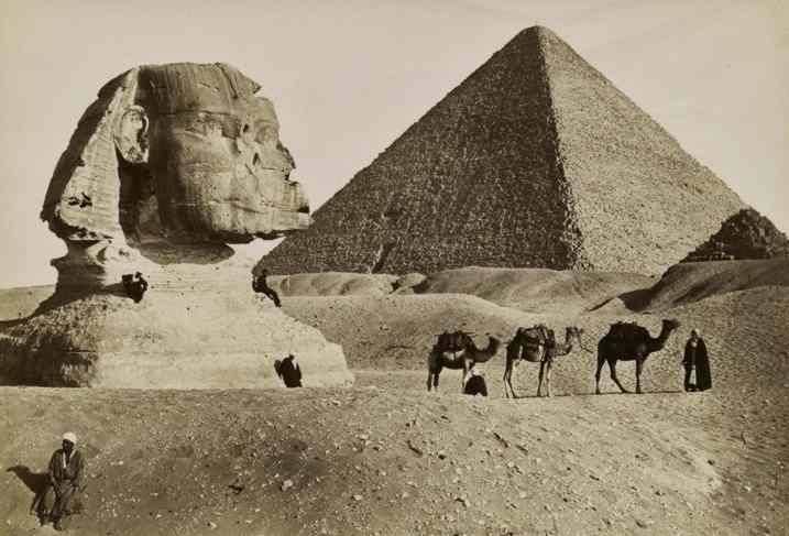 Sphinx, Great Pyramid, and a line of three camels.